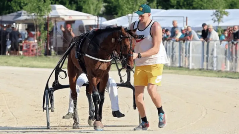 世界杯比赛直播地址-Shames：约基奇将在赛季结束后从NBA退役，转战马术赛场备战28年奥运会